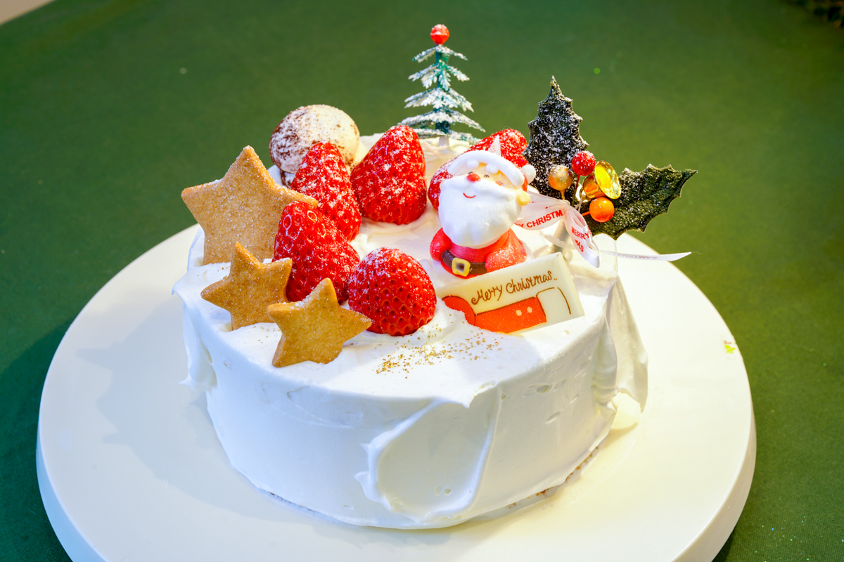 クリスマス生デコレーションケーキ